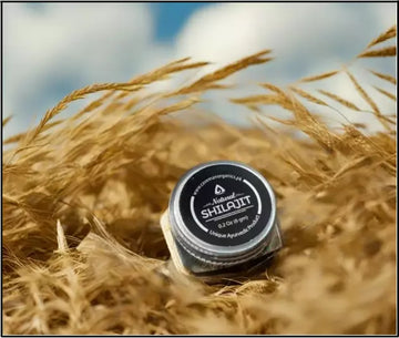 Shilajit Blog Image