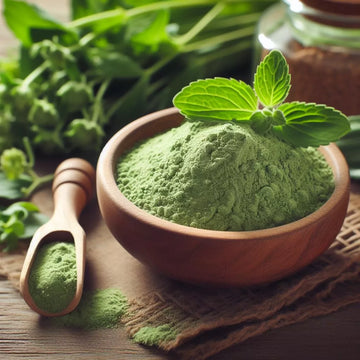 Stevia powder blog cover image